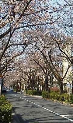 170403_1416~001.jpg