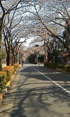 170403_1419~001.jpg