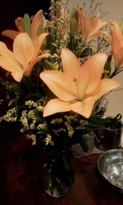 170603_2247~001.jpg